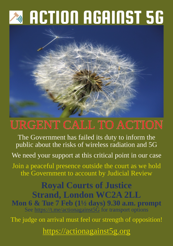 Front side of flyer for court case